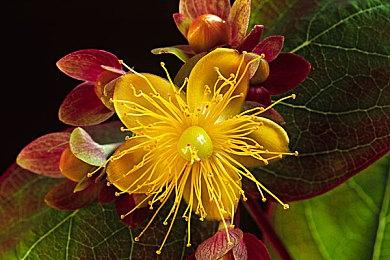 《消逝的光芒2》冬日传说活动1月5日追加全新内容